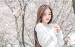 老阿姨哔哩哔哩B站肉片茄子芒果